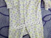Отдам бесплатно