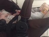 Когда пересели в прогулку ?