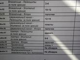 Мазок на флору