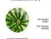 Все рожают