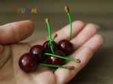 Очередные изделия из полимерной глины