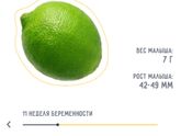 Растём ))