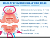 Ох уж эти зубы....