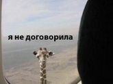 Немного юмора