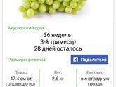 Ещё не немного, ещё чуть чуть ???