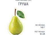 17 неделек :)