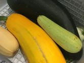 Вот люблю я дачные продукты!!