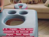 Где найти массажиста с таким столом?