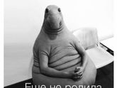 Сегодня ПДР 😃