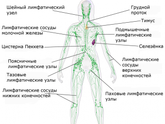 Самомассаж лица может навредить: делайте правильно!