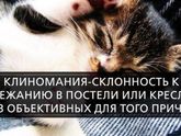 Теперь я знаю, что со мной ?