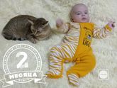2 месяца?