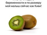 Растёт наш головастик!