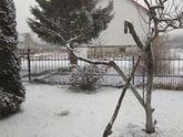 Веснааа!! Ты где заблудилась?!