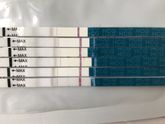 Когда полоски на тесте стали одинаковыми по яркости?