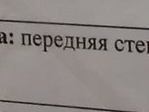 Локализация плаценты