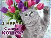 Фотография 2019-03-01 06:19:38