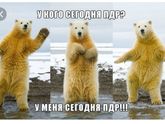 ПДР