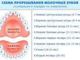 Зубы🤦🏻♀️🤦🏻♀️🤦🏻♀️