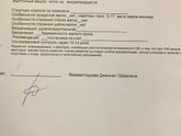 Плодное яйцо по УЗИ