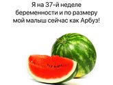 Арбузы