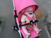 Пришла наша коляска