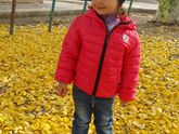 Осень🍂🍁🌺🍂🍁🌺