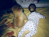 Питомцы и малыши
