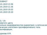 лечение хронического эндометрита - эндометрий фазы пролифирации