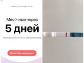 Тестомания день 3