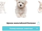 ?Приложение