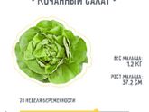 28 неделек?