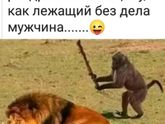 :-) Жизненный юмор