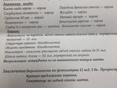 Первый скрининг