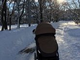 Мороз 🥶 и солнце ☀️ день 👍