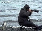 Конкурс детских фотографий. Раунд IV