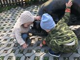 Такой уже большой ??