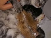 Вот мы и родили ?