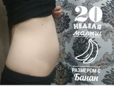 23 недели ?