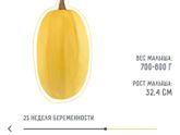 Осталось 100 дней 🐥