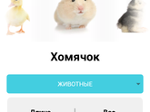 Мои 15 недель