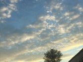 Доброе утро ☀️