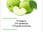 Мои 15 недель