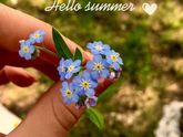 Чудесного лета Всем девчонки ☺️💚🌾🌷🌻🌸🌺