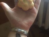 🍪🍪🍪
