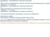 Мазок на флору перед гистерой( офисной)...