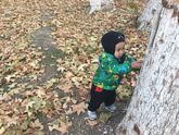 Наши новости??