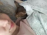На сон грядущий...