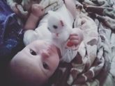 Наше доброе утро ?