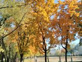 Гулять сегодня - одно удовольствие!🍁🍁🍁